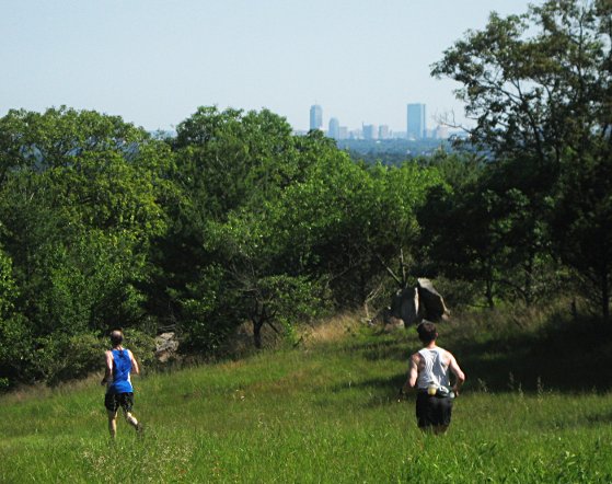 Skyline view